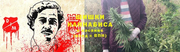 крисы Абаза