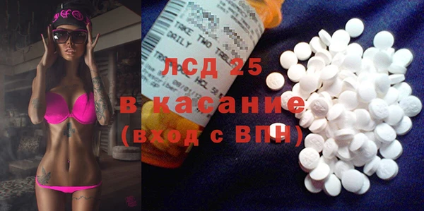 крисы Абаза