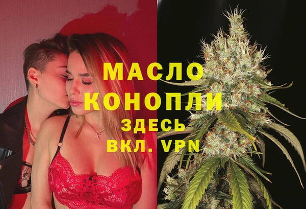 крисы Абаза