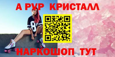 spice Кингисепп