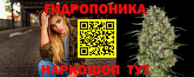 spice Кингисепп