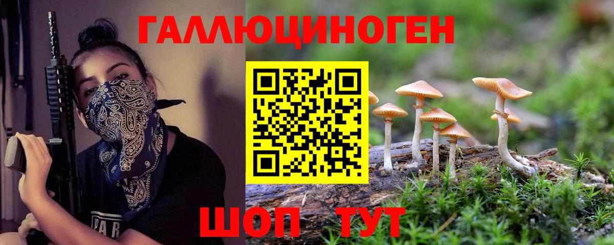 Галлюциногенные грибы MAGIC MUSHROOMS  Псилоцибиновые грибы Psilocybe  Усть-Кут  купить  сайты  Вход с VPN 